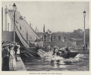 Skydning af slisken ved Coney Island (litho)