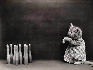 Serien Kitties: Bowling, ca. 1914 (sølvtryk)