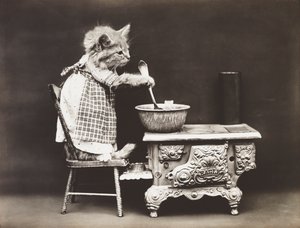 Serie af killinger: Cook at the Stove, ca. 1914 (sølvtryk)