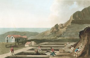 Generelt billede af et Alum-værk i Whitby-området, Yorkshire, 1814 af Havell and Son