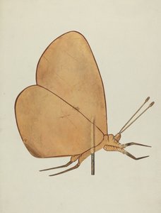 Sommerfugle vejrhane, ca. 1938. af Hazel Hyde