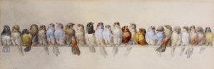 A Perch of Birds, ca. 1880 (akvarel og grafit på papir)