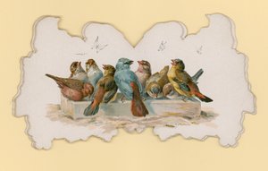 Fugle (farve litho) af Hector Giacomelli