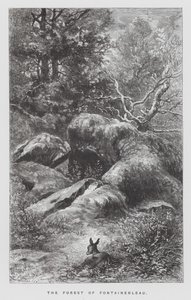 Insektet: Fontainebleau-skoven (gravering) af Hector Giacomelli
