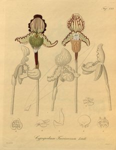 Denne fil kommer fra Biodiversity Heritage Library og er tilgængelig online på biodiversitylibrary.org/page/698329