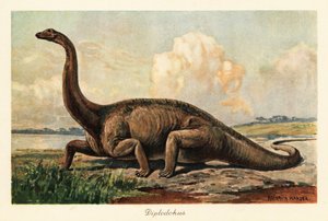 Uddøde Diplodocus longus på sletterne.