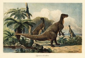 Iguanodon bernissartensis i en forhistorisk bregneskov.