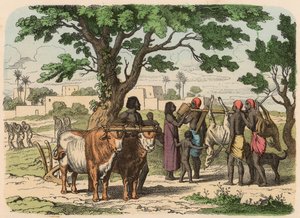 Det gamle Egypten: landbrug og jagt af Heinrich Leutemann