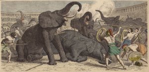Drab på fangede elefanter i en romersk arena af Heinrich Leutemann