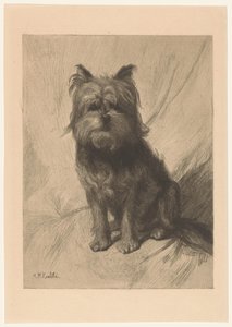 hollandsk smoushond af Heinrich M. Krabbé