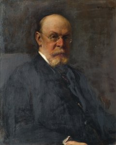 Sektionslederen Alfred Ritter von Bernd af Heinrich Rauchinger