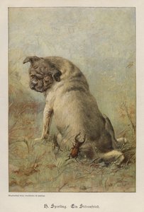 En ballademager (farvet gravering) af Heinrich Sperling