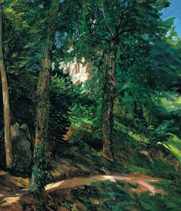 Slotsområde i Lichtenberg i Odenwald