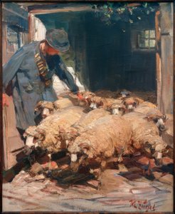 Shepherd lader får ud af stalden