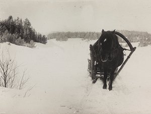 Første Verdenskrig: 
