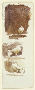 Duer (wc på papir) af Helen Allingham