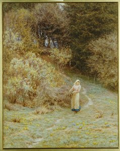 I Primrose Wood