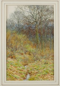Our Primrose Wood, 1913 af Helen Allingham