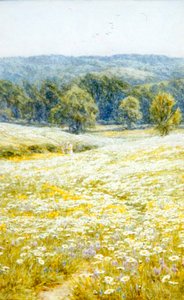 Oxeye Daisies, nær Westerham, Kent (akvarel på papir) af Helen Allingham