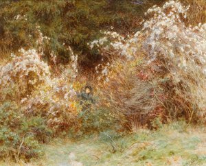 Travellers Joy: A Surrey Hedgerow (wc på papir) af Helen Allingham