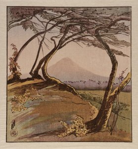 Mount Orizaba af Helen Hyde