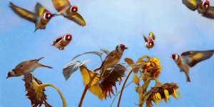 A Charm of Goldfinches, 2020 af Helen White