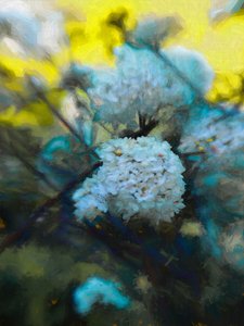 Blooming Maytime, 2019 af Helen White