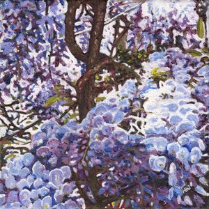 Blå Wisteria, 2012 af Helen White