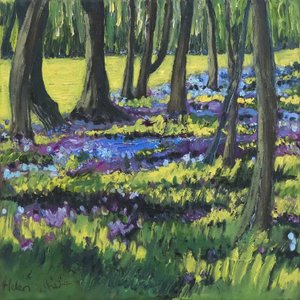Bluebell Wood, 2008 af Helen White