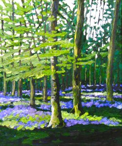 Bluebell Wood, 2009 (olie på lærred) af Helen White