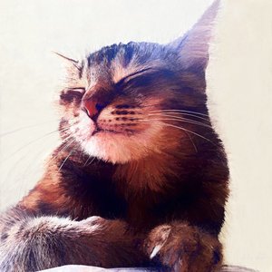 Cat That Got The Cream, 2018 af Helen White
