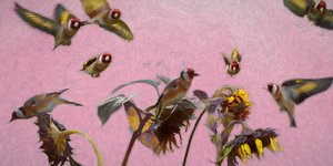 Charm on Pink, 2020 af Helen White