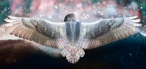 Dare to Fly, 2019 af Helen White
