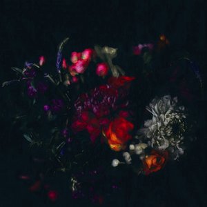Mørke blomster, 2019 af Helen White