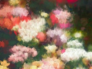 Hjertets Have, 2018 af Helen White