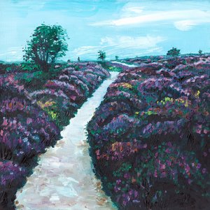 Heathland Heather, 2009 af Helen White