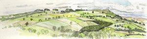 Helton Panorama, 2010