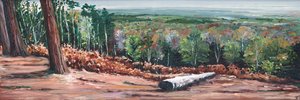 High Ridge, 2009 af Helen White