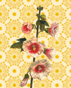 Hollyhocks on Sunshine, 2021 (akvarel) af Helen White