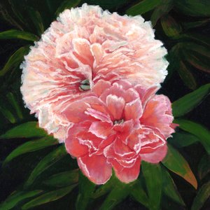 Magdalen College Peonies, 2023 (olie på lærred)