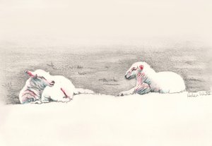 Napping, 2016, (blyantstegning) af Helen White