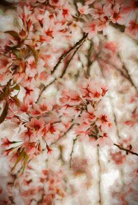 Orientalis, 2020 af Helen White