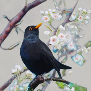 Sommersang, 2021 af Helen White