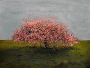 Stand Alone Beauty, 2019 af Helen White