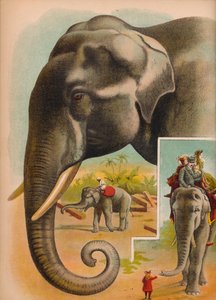 Elefanten, omkring 1900