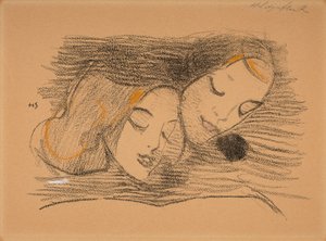 Billedbogen af Helene Schjerfbeck