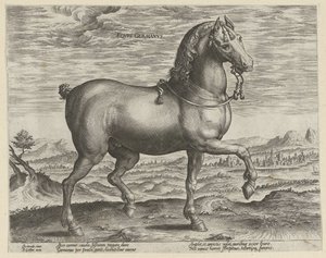 Hingst fra Tyskland Eqvvs Germanvs (titel på objekt) Hesteracer fra de kongelige stalde i Don Juan af Østrig (serietitel) Equile Ioannis Austriaci Caroli (serietitel) af Hendrick Goltzius (possibly)