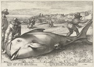 Strandet grindehval på stranden ved Zandvoort, 1594 af Hendrick Goltzius (workshop of)
