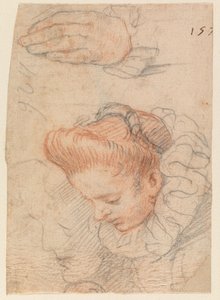 Skitseark med kvindehoved og hånd af Hendrick Goltzius