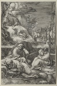 Lidenskaben: Kvalen i haven af Hendrick Goltzius